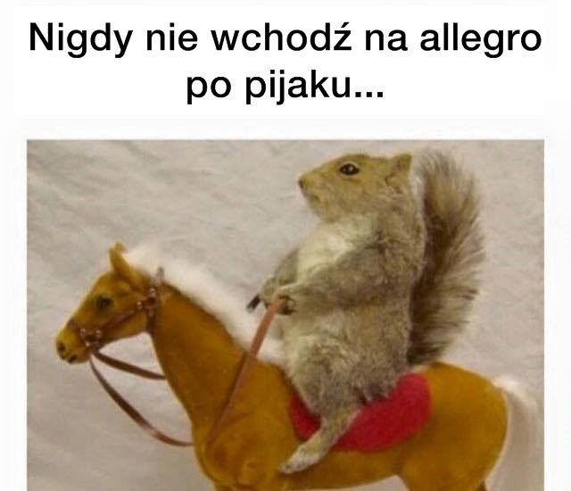 Nigdy Nie Wchodz Na Allegro Po Pijaku Xd Lols Pl