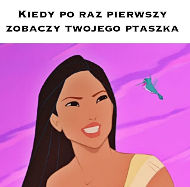 Kiedy Po Raz Pierwszy Zobaczy LOLS PL