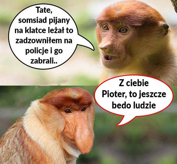 Pioter donosiciel xD – LOLS.PL – Najlepszy Humor, Demotywatory, Memy, Zabawne Obrazki