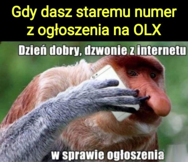 Gdy Ojciec Dostanie Numer Z Ogloszenia Na Olx Lols Pl